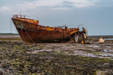 Walney Kanalı 'nın çamurunda paslı bir gemi enkazı, Roa Adası, Cumbria, İngiltere, İngiltere' ye giden yoldan görülüyor.