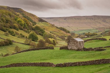 Keld, North Yorkshire, İngiltere yakınlarındaki Yorkshire Dales 'de bir çiftlik.