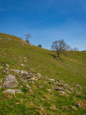 Aşağı Rıhtımdaki Yorkshire Dales manzarası Skyreholme, Kuzey Yorkshire, İngiltere yakınlarındaki