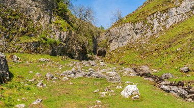 Troller 's Gill, Aşağı Wharfedale, Kuzey Yorkshire, İngiltere' de Skyreholme yakınlarında.