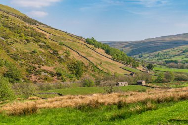 Keld ve Thwaite arasındaki Swaledale manzarası, Kuzey Yorkshire, İngiltere, İngiltere