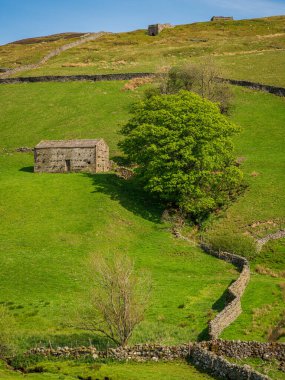 Keld, North Yorkshire, İngiltere yakınlarındaki tarlalarda taştan ahırlar bulunan Swaledale manzarası