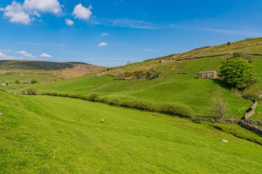 Keld, North Yorkshire, İngiltere yakınlarındaki tarlalarda taştan ahırlar bulunan Swaledale manzarası