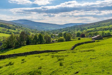 Cowgill, Cumbria, İngiltere yakınlarındaki Dent Dale 'de Yorkshire Dales manzarası