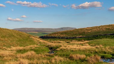 Yorkshire Dales manzarası, arka planda Pen-Y-Ghent, Ribblehead yakınlarında, Kuzey Yorkshire, İngiltere, İngiltere