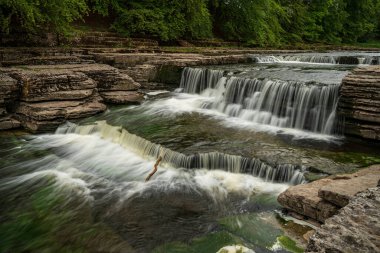 Aysgarth Şelaleleri, Kuzey Yorkshire, İngiltere, İngiltere