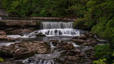 Yore Köprüsü 'nden Aysgarth Şelalesi ve Ure Nehri manzarası, Kuzey Yorkshire, İngiltere