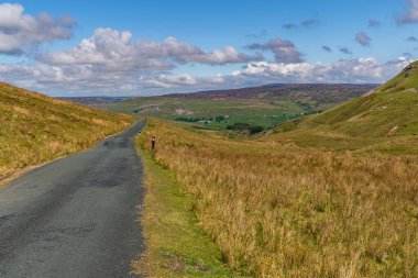 Askrigg, North Yorkshire, İngiltere yakınlarındaki Yorkshire Dales kırsalında.