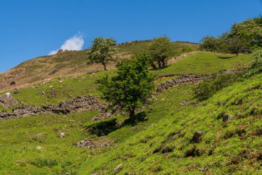 Gunnerside Gill 'deki Yorkshire Dales manzarası, Kuzey Yorkshire, İngiltere, İngiltere