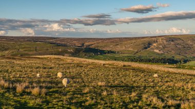 Langthwaite ve Feetham arasındaki Yorkshire Dales manzarası, Kuzey Yorkshire, İngiltere, İngiltere