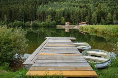 Almanya 'nın Baden-Wuerttemberg kenti Freudenstadt yakınlarındaki Kara Orman' da bulunan Nagoldtalsperre (Nagold Barajı) köprüsü.