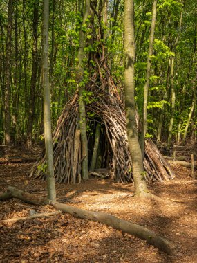 Isenbuegel, Heiligenhaus, Kuzey Ren-Vestfalya, Almanya 'da bir ormandaki ağaç dallarından oluşan bir çadır.