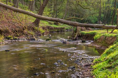 Rinderbach Nehri, Kuzey Ren-Vestfalya, Almanya 'da Heiligenhaus yakınlarında Vogelsangbachtal' ı geçen bir nehirdir.