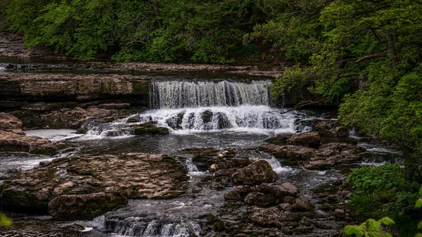 View Aysgarth Falls River Ure Yore Bridge North Yorkshire England — Stock Fotó