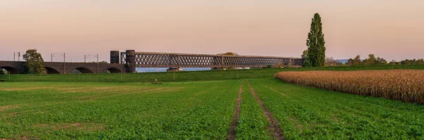 Vista Desde Engers Puente Ferroviario Urmitz Renania Palatinado Alemania —  Fotos de Stock