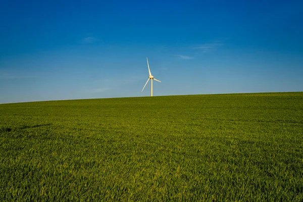 德国北莱茵 威斯特法伦州埃森一个田野上的风力涡轮机 — 图库照片