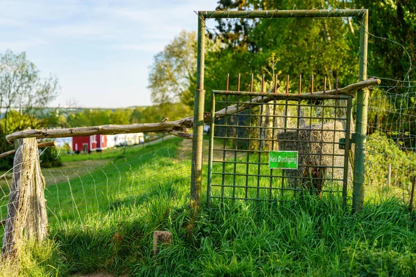 Puerta Cerrada Con Letrero Kein Durchgang Alemán Para Pasar Visto — Foto de Stock