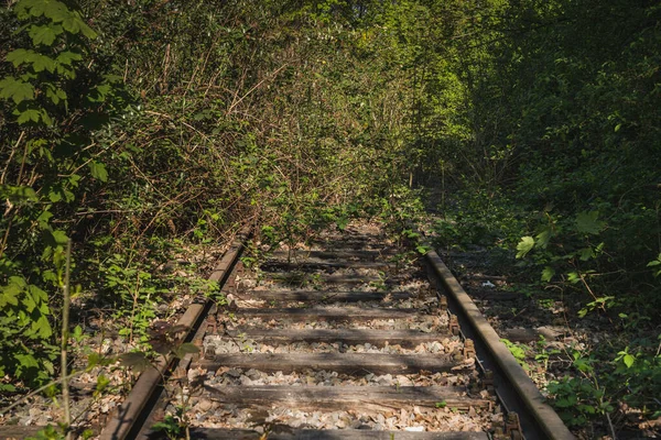 Κλειστή Σιδηροδρομική Γραμμή Υπερυψωμένες Σιδηροτροχιές Στο Bottrop Βόρεια Ρηνανία Βεστφαλία Royalty Free Εικόνες Αρχείου