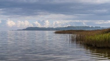 Prohner Wiek kıyısında Klein Damitz yakınlarında, Mecklenburg-Batı Pomerania, Almanya
