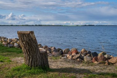 Zuehlendorf limanında deniz manzaralı ahşap bir koltuk, Mecklenburg-Batı Pomerania, Almanya