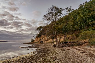 Akşam Jasmunder Bodden sahilinde Lietzow yakınlarındaki çakıl taşı plajında, Mecklenburg-Batı Pomerania, Almanya