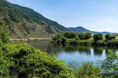 Bremm, Rhineland-Palatine, Almanya yakınlarındaki Moselle Vadisi 'ne bakın.