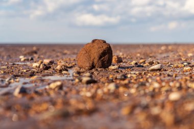 Snettisham Sahili, Norfolk, İngiltere, İngiltere 'de küçük taşlarla çevrili büyük bir taş.