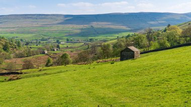 Keld ve Thwaite arasındaki Swaledale manzarası, Kuzey Yorkshire, İngiltere, İngiltere