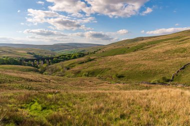 Arka planda Dent Dale manzaralı Dent Head Viaduct, Cowgill, Cumbria, İngiltere, İngiltere yakınlarında.