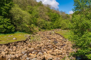 Gunnerside Beck, North Yorkshire, İngiltere, İngiltere ile Yorkshire Dales manzarası