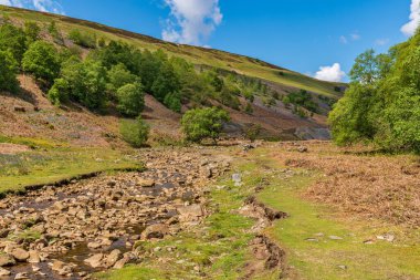 Sör Francis Level 'in kalıntıları Gunnerside yakınlarında, Kuzey Yorkshire, İngiltere, İngiltere