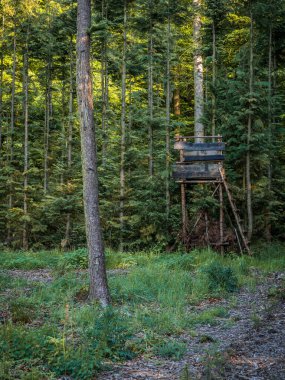 Muelheim an der Ruhr, Kuzey Ren-Vestfalya, Almanya 'da Rottbachtal ormanında bir av tezgahı