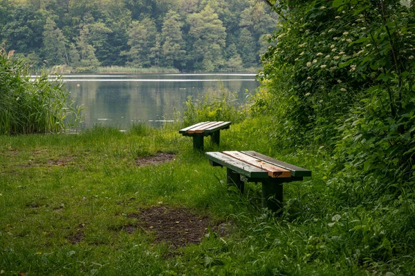 Bänke Passower See Mecklenburg Vorpommern Deutschland — Stockfoto