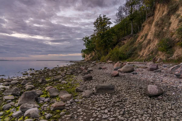 Kveld Kysten Jasmunder Bodden Steinstranden Nær Lietzow Mecklenburg Western Pomerania – stockfoto