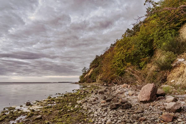 Tarde Costa Jasmunder Bodden Playa Guijarros Cerca Lietzow Mecklemburgo Pomerania — Foto de Stock