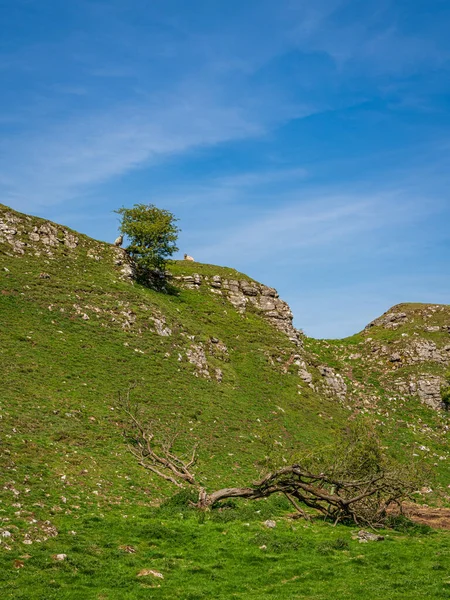 Skyreholme Yakınlarındaki Yorkshire Dales Arazisi Kuzey Yorkshire Ngiltere Ngiltere — Stok fotoğraf