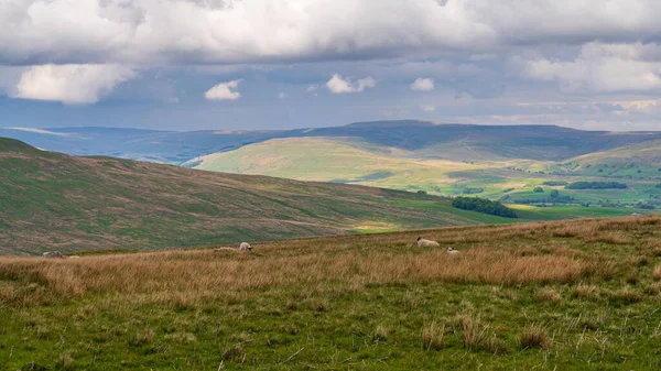 Oughtershaw, North Yorkshire, İngiltere yakınlarındaki Yorkshire Dales 'de bulutlu bir gün.
