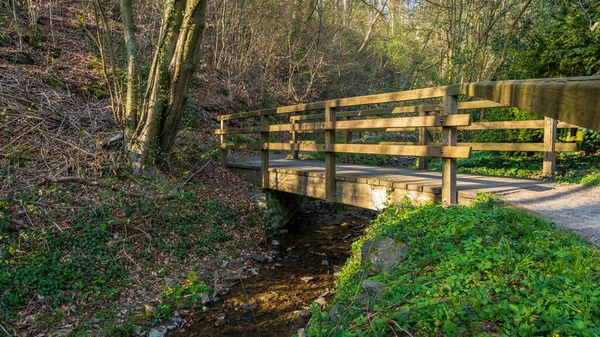 Wooden Bridge Crossing Sandersbach Ratingen North Rhine Westphalia Germany — Stock Photo, Image