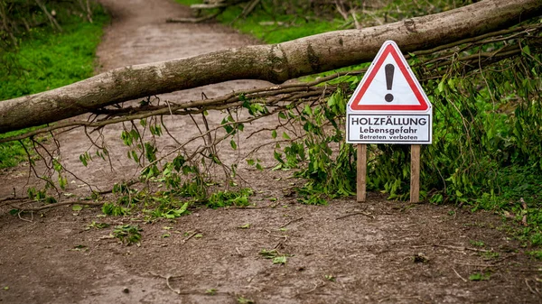 Znamení Holzfaellung Lebensgefahr Betreten Verboten Německy Logging Risk Death Don — Stock fotografie