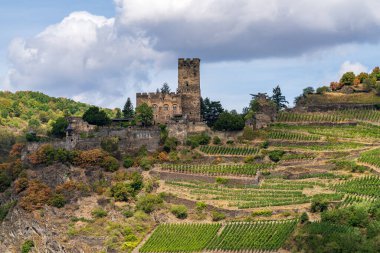Kaub, Rhineland-Palatinate, Almanya - 19 Ağustos 2020: Gutenfels Kalesi ve çevresindeki üzüm bağları