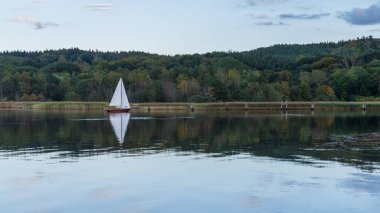Ralswieck, Mecklenburg-Batı Pomerania, Almanya 'daki Jasmunder Bodden' da bir yelkenli teknesi.