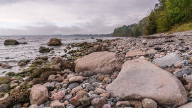 Baltık Denizi kıyısı ve Goor, Mecklenburg-Batı Pomerania, Almanya 'daki çakıl taşı plajı