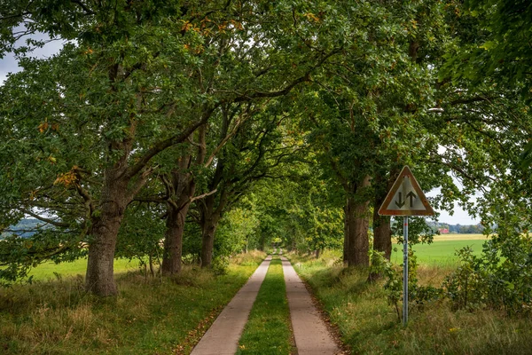Una Carretera Rural Cerca Landow Mecklemburgo Pomerania Occidental Alemania — Foto de Stock