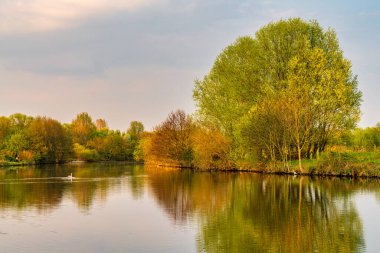 Muelheim an der Ruhr ve Oberhausen, Kuzey Ren-Vestfalya, Almanya arasında Ruhr Nehri kıyısında bir akşam yürüyüşü.