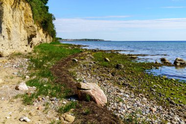 Boltenhagen yakınlarındaki Eulenkrug 'daki Baltık Denizi kıyısı, Mecklenburg-Batı Pomerania, Almanya