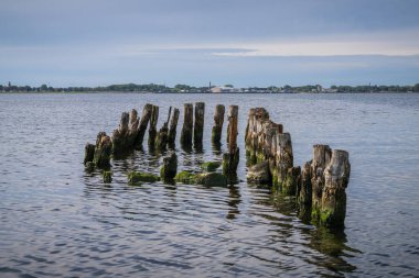 Ludwigsburg, Mecklenburg-Batı Pomerania, Almanya yakınlarındaki Danimarka Wiek 'te ahşap damızlık.