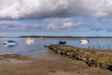 Strelasund kıyısı Stralsund yakınlarındaki Devin Adası, Mecklenburg-Batı Pomerania, Almanya