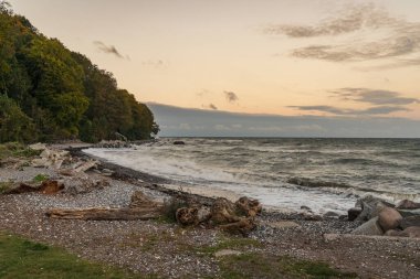 Sassnitz 'deki Baltık Denizi kıyısı, Mecklenburg-Batı Pomerania, Almanya