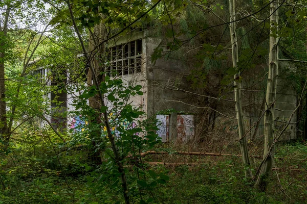 Sassnitz Mecklenburg Vorpommern Oktober 2020 Kasernenruine Der Nationalen Volksarmee Der — Stockfoto