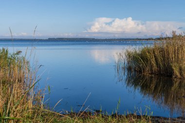 Jasmunder Bodden kıyıları Borchtitz, Mecklenburg-Batı Pomerania, Almanya